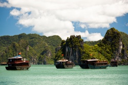 Vietnam - Halong Bucht - Dschunken  (Bild: Asien Special Tours)